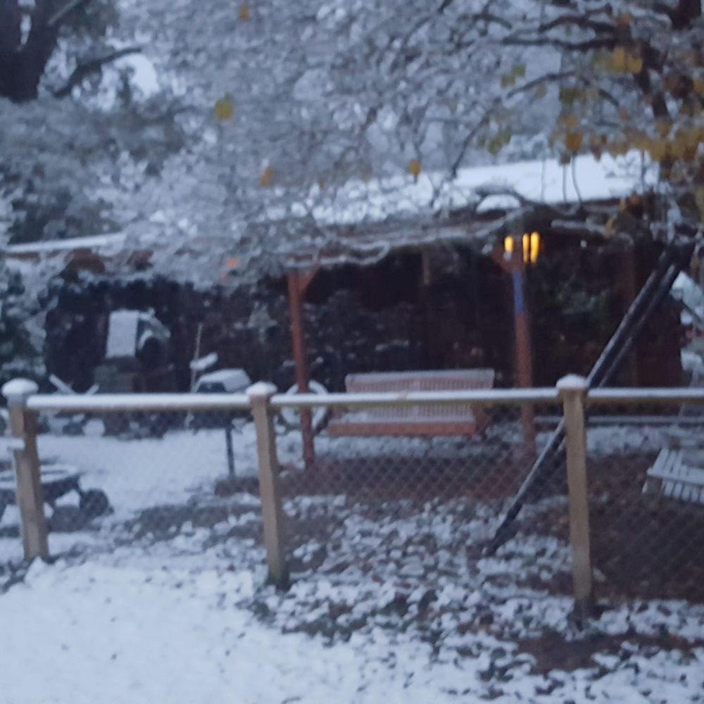 Meet your Posher, Lisha ray